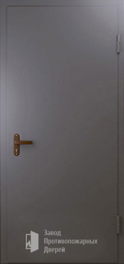 Фото двери «Техническая дверь №1 однопольная» в Воскресенску