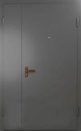 Фото двери «Техническая дверь №6 полуторная» в Воскресенску